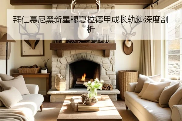 拜仁慕尼黑新星穆夏拉德甲成长轨迹深度剖析